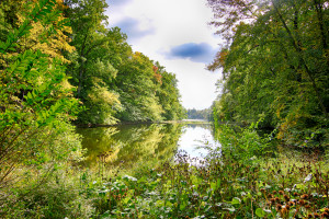 79 Primrose Trl Harding NJ Feel @Home 14