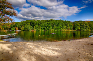 79 Primrose Trl Harding NJ Feel @Home 19